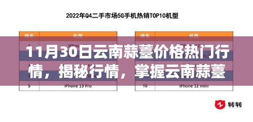 揭秘行情走势，云南蒜薹价格走势与市场机遇洞察