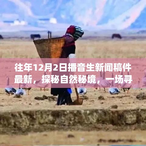探秘自然秘境，寻找内心平静的旅程，最新播音生新闻稿件分享