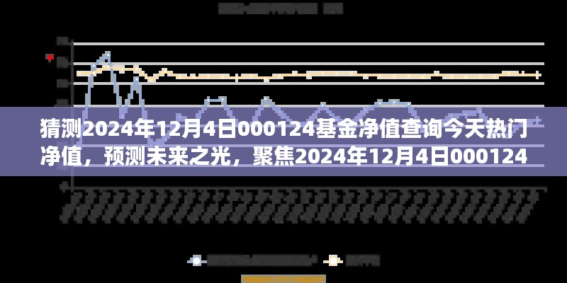 聚焦未来，2024年12月4日000124基金净值展望与热门净值背后的故事解析