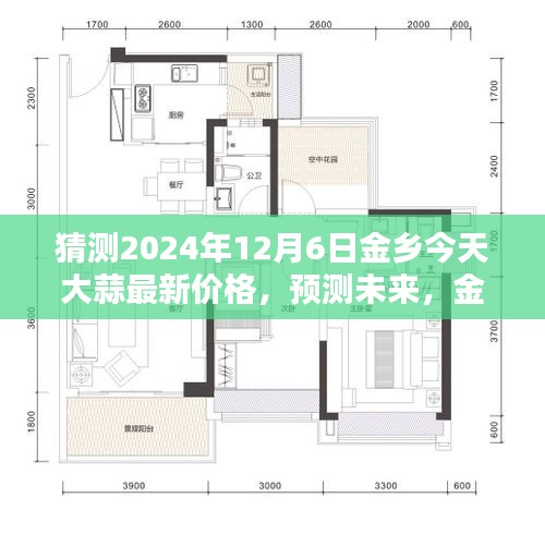2024年12月6日金乡大蒜最新价格预测，未来动向分析