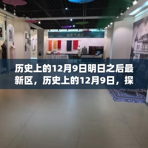 明日之后最新区，探寻历史脉络与未来展望，历史上的十二月九日展望区揭秘
