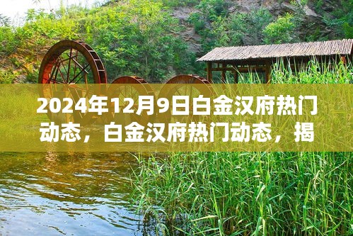 揭秘白金汉府未来建筑科技趋势与环保理念（独家报道，日期标注为2024年12月9日）