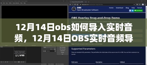 望其项背 第3页