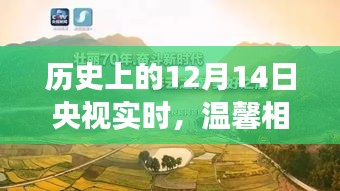 肝胆相照 第3页