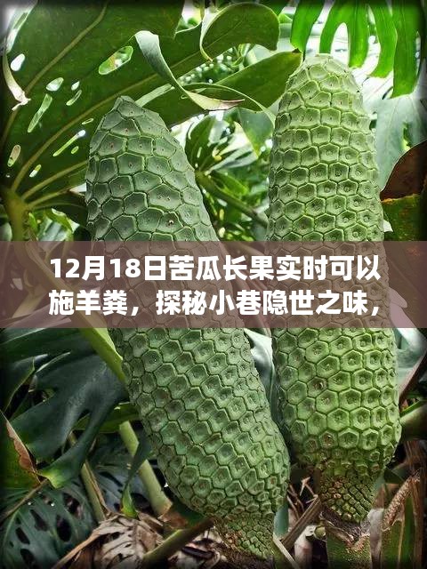 粗制滥造 第2页
