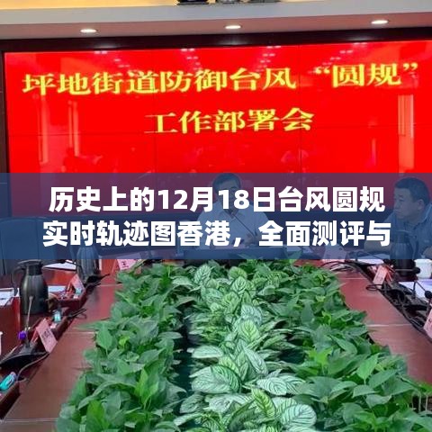 倦鸟思归 第2页
