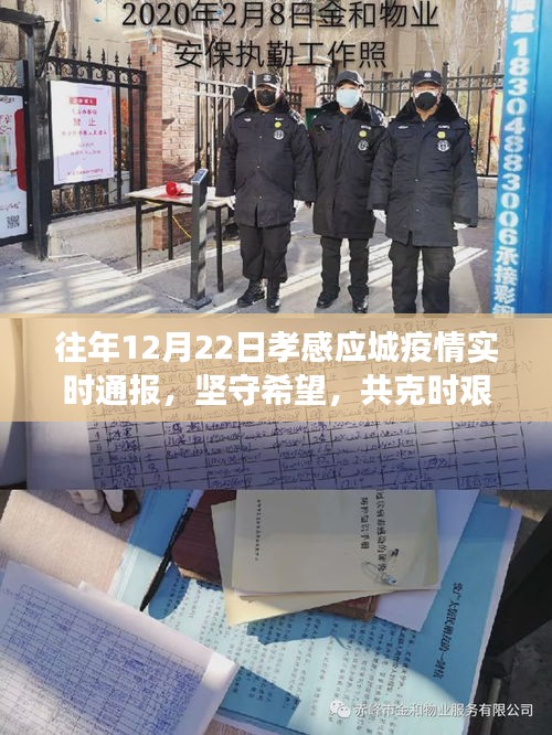 新闻动态 第239页
