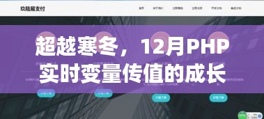 笨鸟先飞 第2页