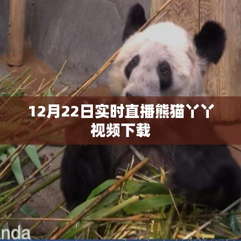删繁就简 第2页