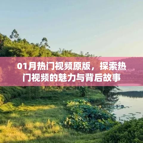 小家碧玉 第2页
