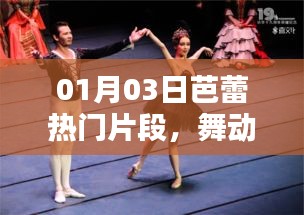 鸟面鹄形 第2页
