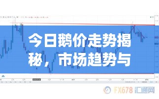 今日鹅价走势揭秘，市场趋势与影响因素深度解析