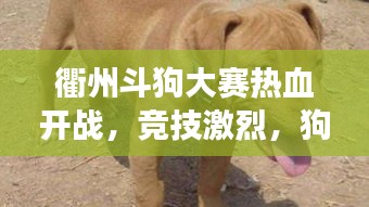 既往不咎 第2页