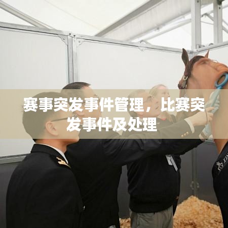 自作主张 第2页