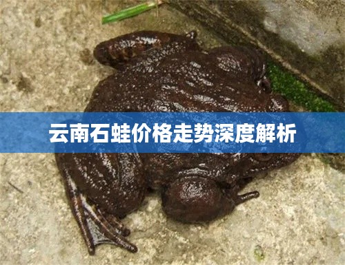 优秀课例 第73页