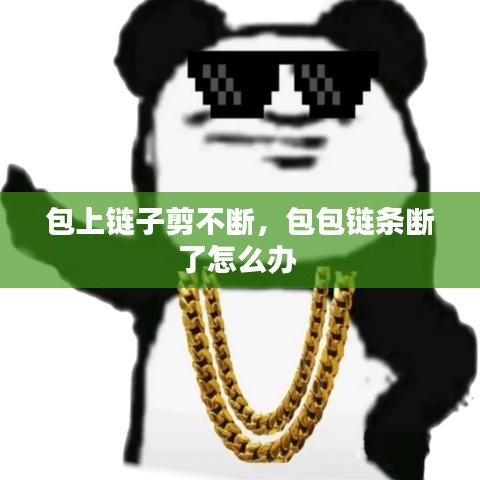 包上链子剪不断，包包链条断了怎么办 