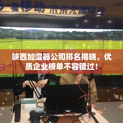 寥寥无几