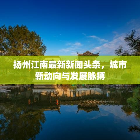 文贵天成