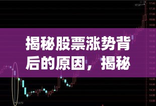 揭秘股票涨势背后的原因，揭秘股票为何会在2015年大涨？