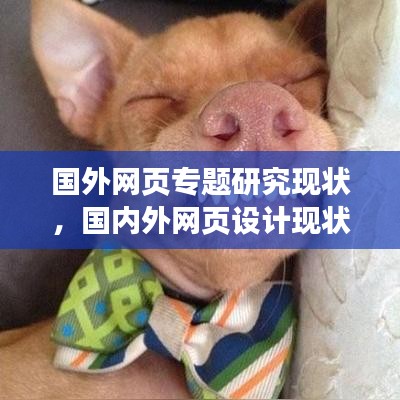 国外网页专题研究现状，国内外网页设计现状分析 