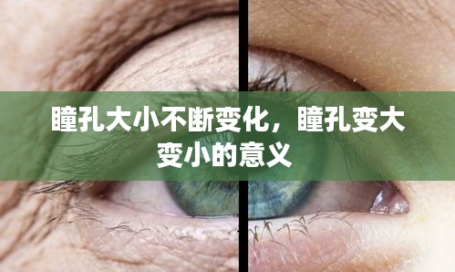 瞳孔大小不断变化，瞳孔变大变小的意义 