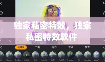独家私密特效，独家私密特效软件 