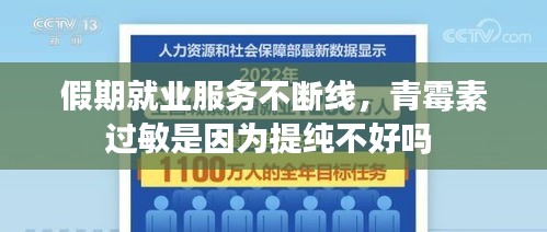 假期就业服务不断线，青霉素过敏是因为提纯不好吗 