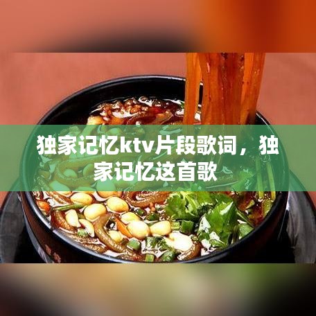 独家记忆ktv片段歌词，独家记忆这首歌 