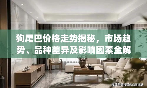 狗尾巴价格走势揭秘，市场趋势、品种差异及影响因素全解析