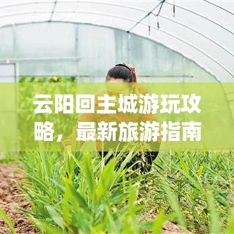 云阳回主城游玩攻略，最新旅游指南全掌握