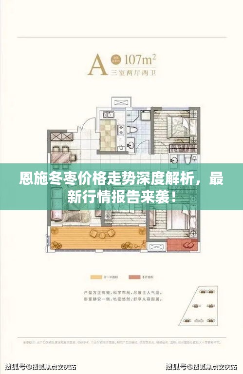 删华就素