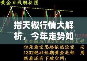 指天椒行情大解析，今年走势如何？