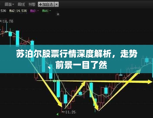 苏泊尔股票行情深度解析，走势、前景一目了然