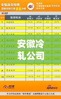 安徽冷轧公司排名揭秘，行业地位与影响力分析