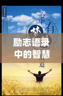 2025年6月4日 第2页
