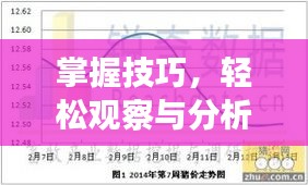 掌握技巧，轻松观察与分析当地生猪价格行情！