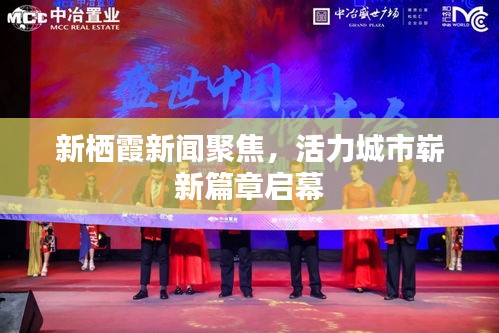 新栖霞新闻聚焦，活力城市崭新篇章启幕