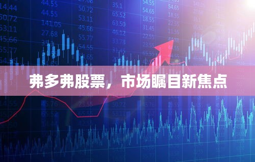 弗多弗股票，市场瞩目新焦点