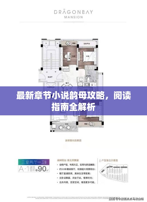 最新章节小说韵母攻略，阅读指南全解析